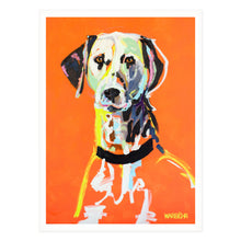 Dalmatian, Fine Art Print