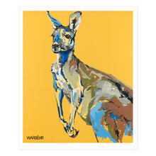 Eastern Grey Kangaroo, Fine Art Print