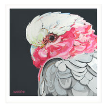 Galah, Fine Art Print