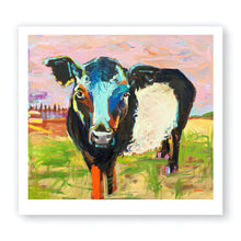Belted Galloway in Meadow, Fine Art Print