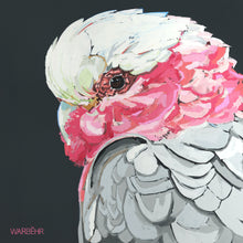 Galah