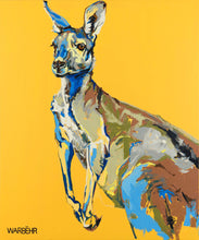 Eastern Grey Kangaroo