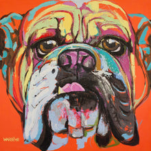Bulldog – Original