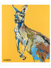 Eastern Grey Kangaroo, Fine Art Print
