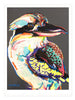 Kookaburra, Fine Art Print