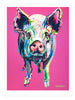 Pig Pig, Fine Art Print