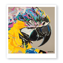 Macaw, Fine Art Print