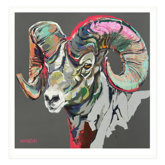 Wild Ram with Magenta Horizon, Fine Art Print